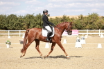 SBM_019267