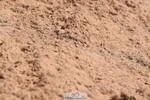 230526A-120744-01642