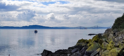 IMG_20210910_134426