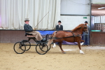 SBM_000527
