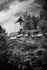 Lagrasse Windmill