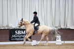 SBM_000331