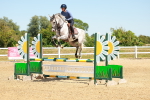 SBM_006433