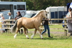 SBM_02197