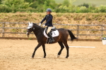 SBM_001004