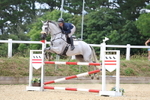 Class 8: Senior Newcomers/1.10m open portfolio