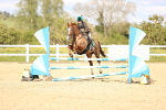 SBM_003684