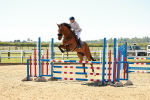 SBM_000915