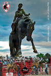 Year of the Cowgirl Poster2_3HR16871