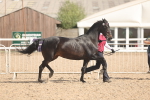 SBM_06858
