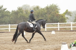 SBM_004005