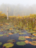 Issac Lake-September Fog