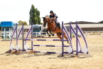 SBM_002913