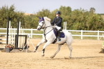 SBM_03773