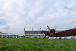 161125-Race 3-Ballybreeze-3019