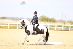 SBM_007880