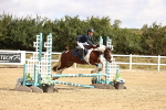 SBM_006529