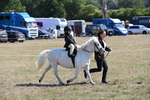 WJ6_7845