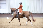 SBM_011418