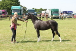 SBM_02420