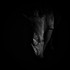 RLP_2849-1746