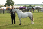 SBM_00560