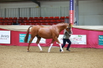 SBM_00531