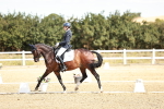 SBM_009371