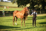 SBM_57562