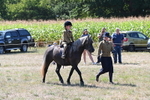 WJ6_7961