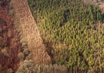 Industrial forestry, Dolgellau