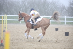 SBM_001083