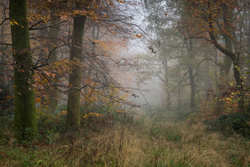 Looking down Old Down