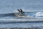 DSC_4157