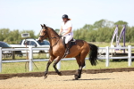 SBM_003648