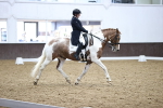 SBM_006980