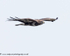 20160413-8E0A3190
