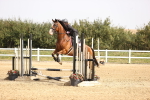 SBM_001235