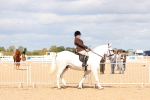 SBM_15456