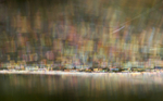 Orb web 1