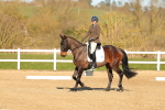 SBM_003736