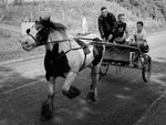Appleby 021