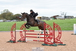 Cls 5 Foxhunter & Open portfolio