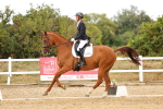 SBM_007377