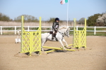 SBM_000703