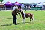 SBM_03581