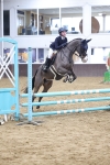 SBM_000995