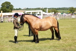 SBM_07151