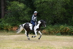 WJ5_1518