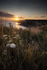 Jurassic Coast